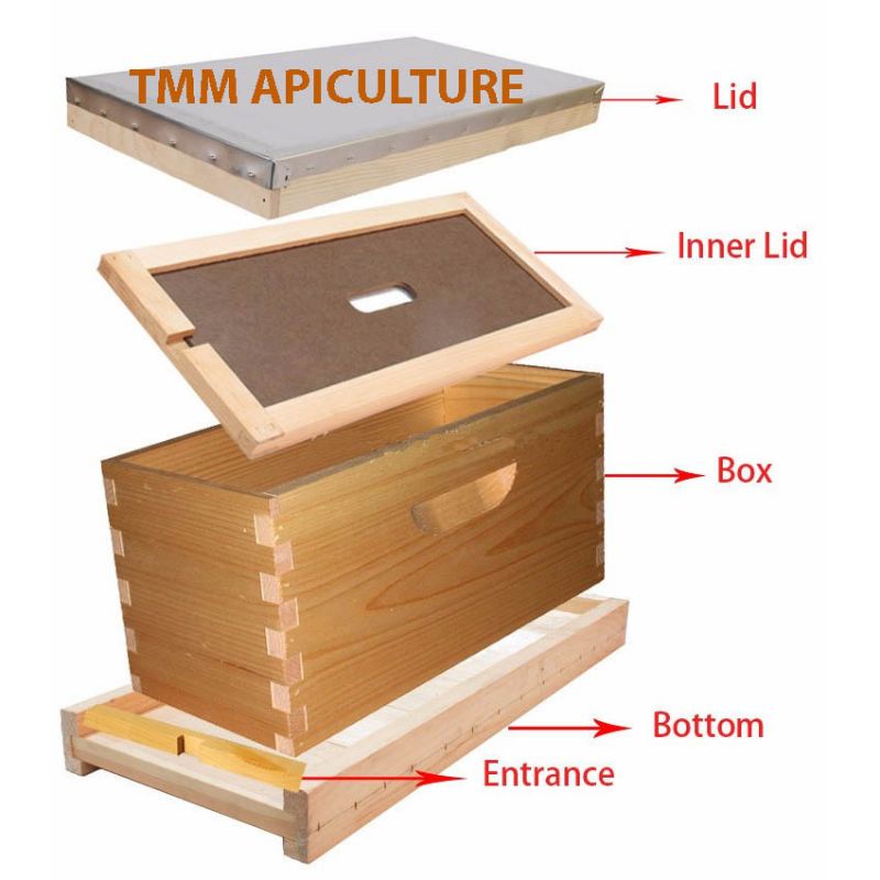 Rumah Sarang Madu Kecil - Nuc Box 5 Frame + 5 Frame Kayu