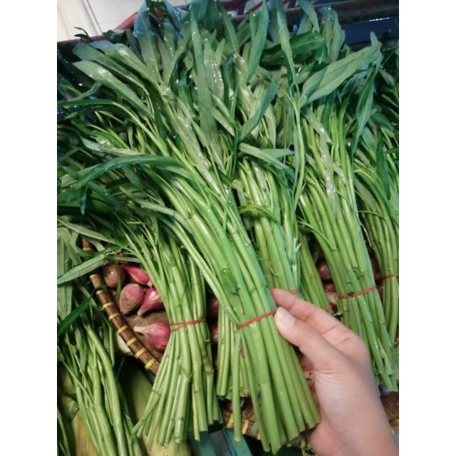 

Kangkung