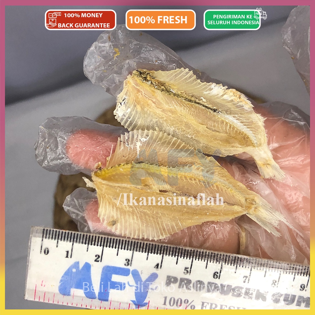 

PROMO Ikan Asin Tipis 1Kg & 500Gr / Kalapan Tawar Mentah Siap Masak / Ikan Asin Jakarta