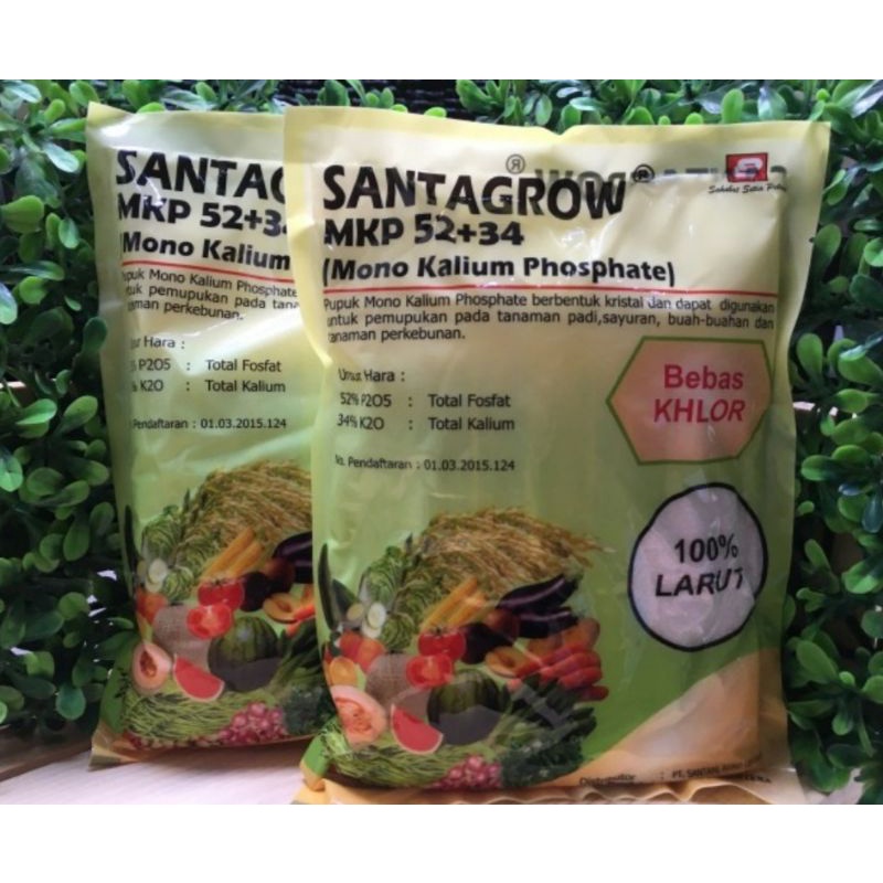 Pupuk MKP Santagrow kemasan pabrik 1 kg