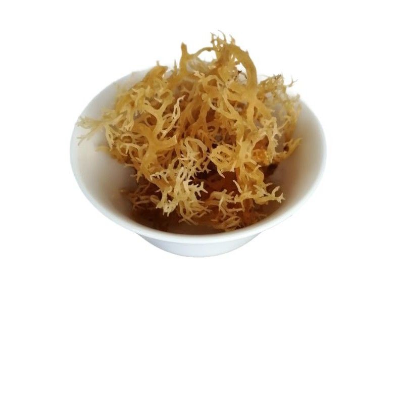 

Sea Birdnest aka Sea Moss (Rumput Laut Kering/Cottoni Seaweed)