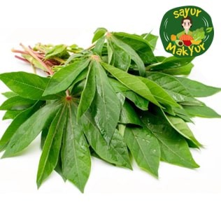 

Daun Ubi 1 Ikat | Sayur Mak Yur Medan | sayurmakyur