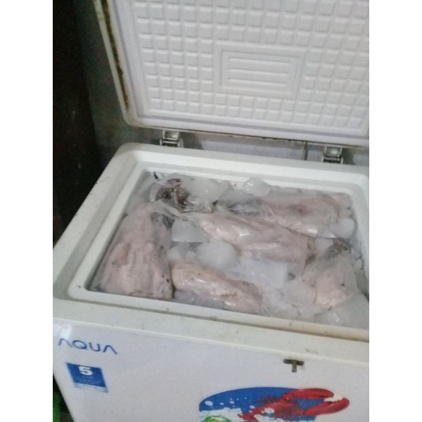 

bebek peking 0.8 - 1.5 kg