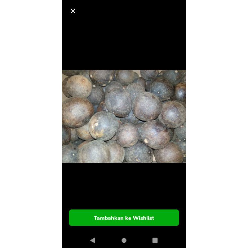 

HS Jeruk nipis kering black lime lemon bumbu nasi mandhi 12 pcs