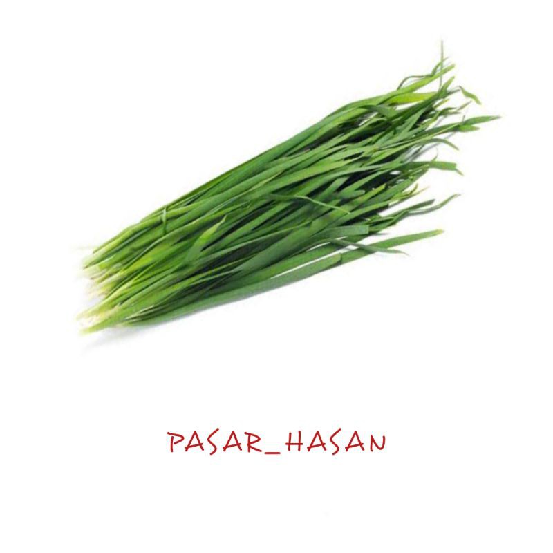 

PASAR HASAN | 1 ikat Daun Kucai | Sayuran Segar | Sayur Online