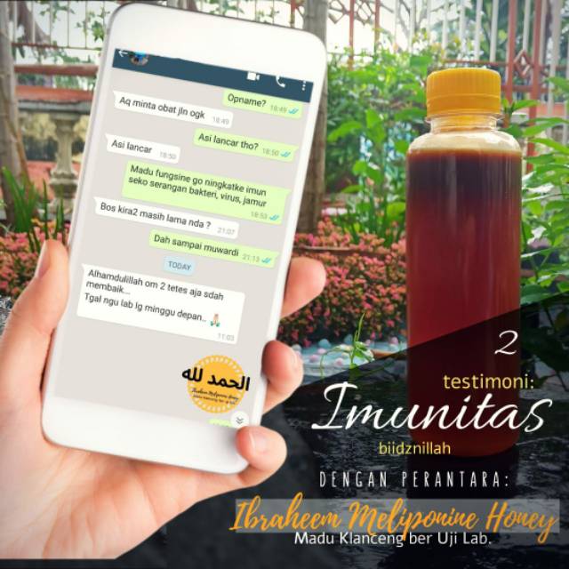 Madu klanceng/madu trigona 100% murni