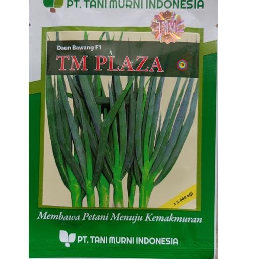 Terlaris.. Benih Bawang Daun TM PLAZA isi 5.000 Biji