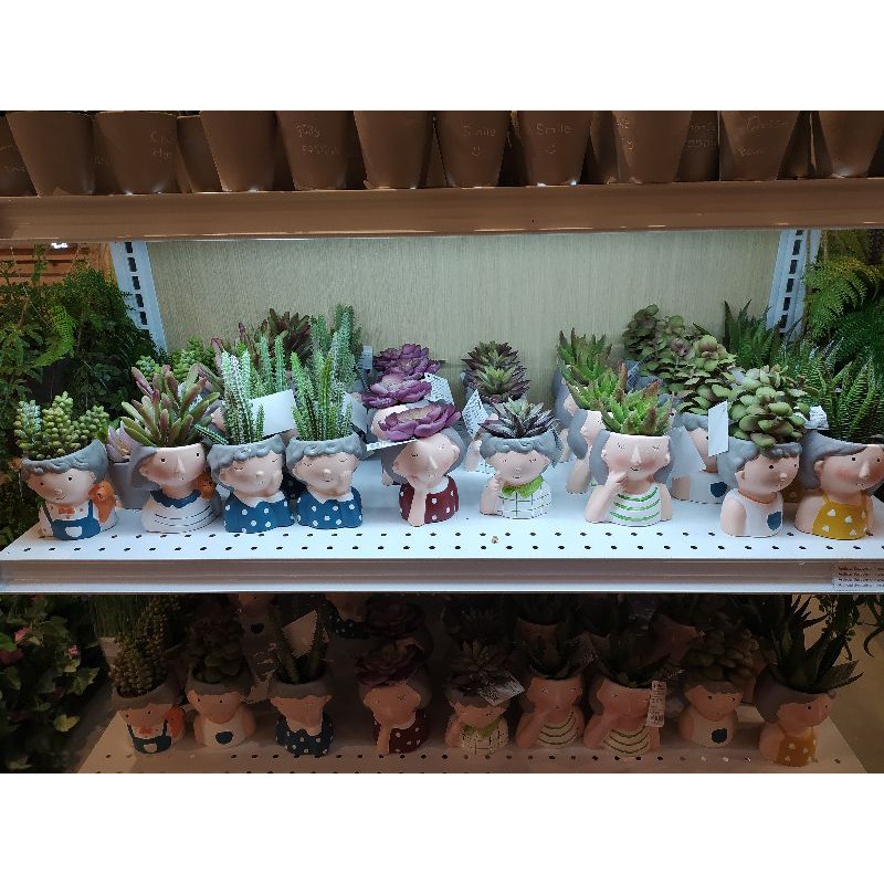 ARTIFICIAL SUCCULENT INFORMA, SUCCULENT INFORMA