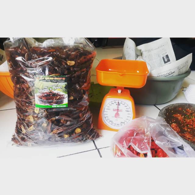 Belalang goreng,kemasan toples 5liter isi 1kg,walang goreng bekasi,joss mantul krenyes krenyes bosku