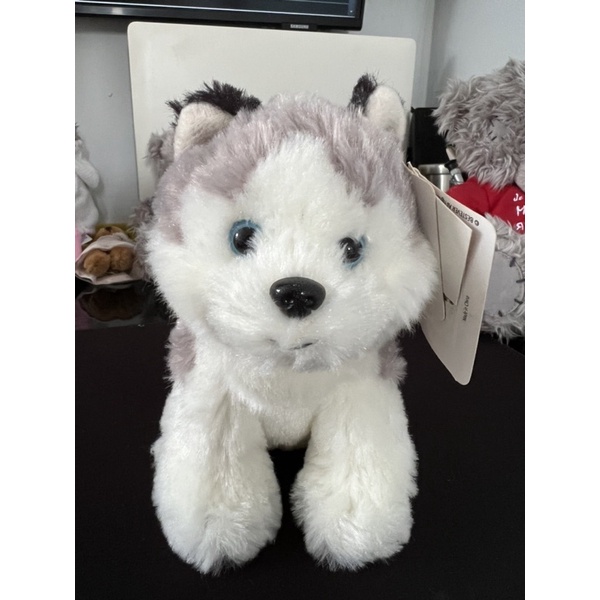 Husky Siberian Best Ever