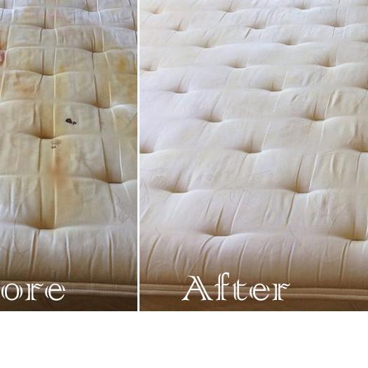 ♢ Pembersih Multi Guna Furniture Sofa Karpet Kasur Matras Sprei Kursi ۞