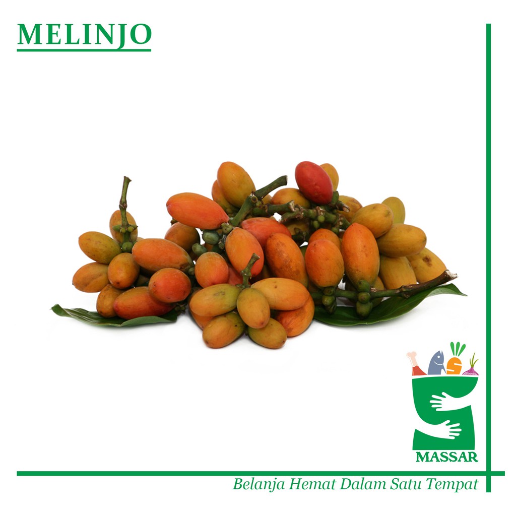 

SAYUR MELINJO 250gr
