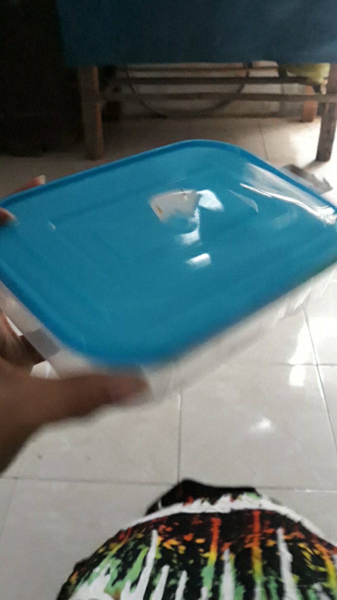 Kotak Makan Anak/ Kotak Bekal Makanan/ Fooodpack 850- Susan