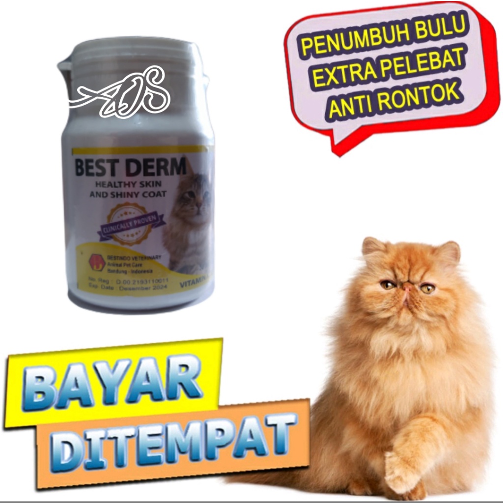 VITAMIN BEST DERM PENUMBUH DAN PENGKILAP BULU KUCING ISI 30 BUTIR