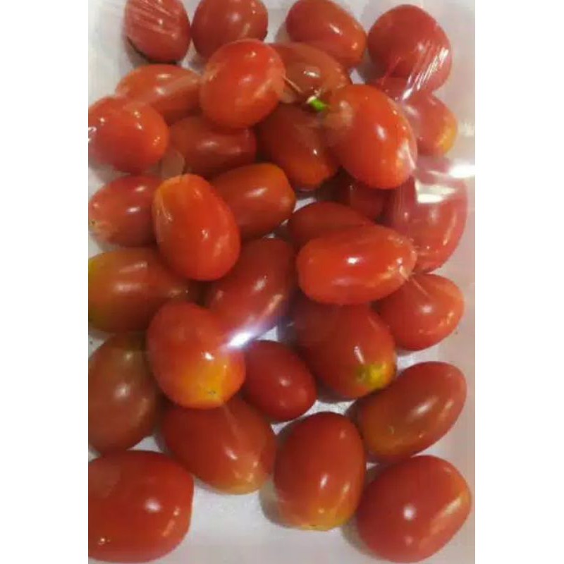 

TOMAT CHERRY PER 250gram