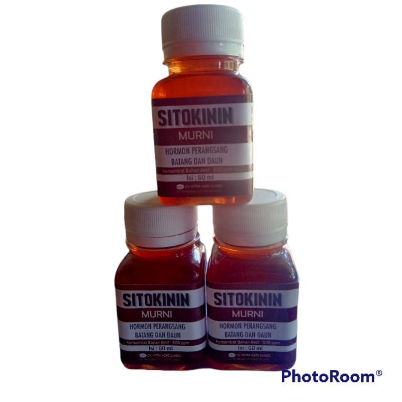 ZPT SITOKININ murni hormon batang dan daun