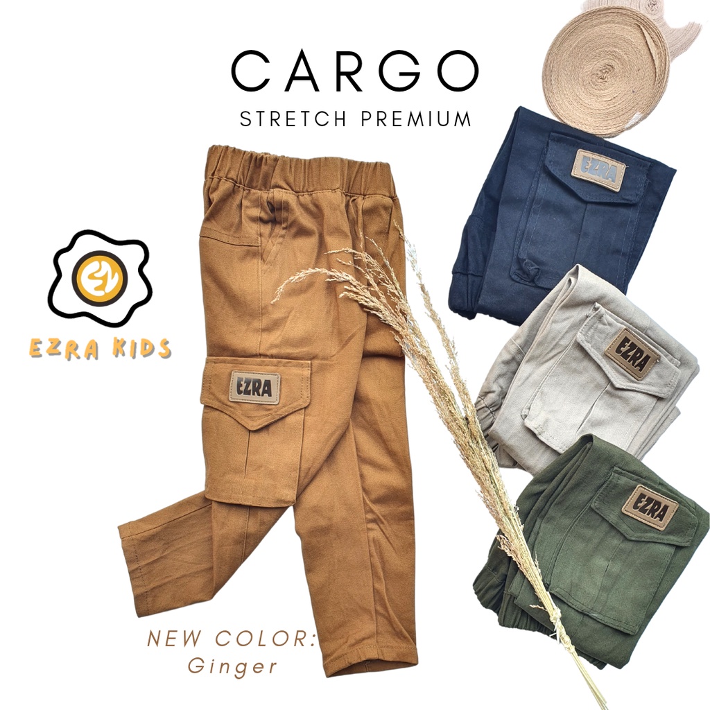 Ezra Kids Celana Panjang Chino Cargo Anak Usia 1 - 9 Tahun Bahan Twill Stretch