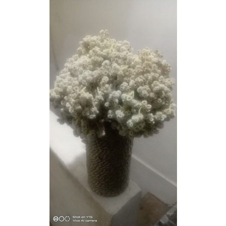 1vas/pot bunga abadi/ bunga edelweis