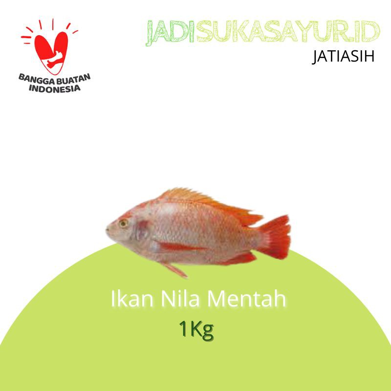 

Ikan Nila Segar 1Kg - Ikan Segar Bekasi