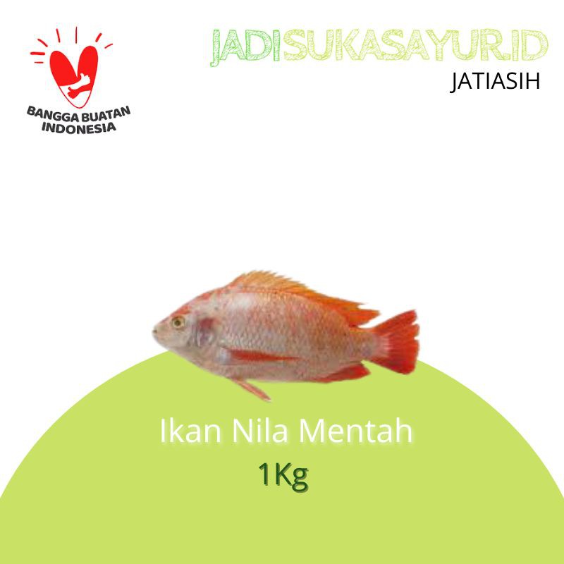 Ikan Nila Segar 1Kg - Ikan Segar Bekasi