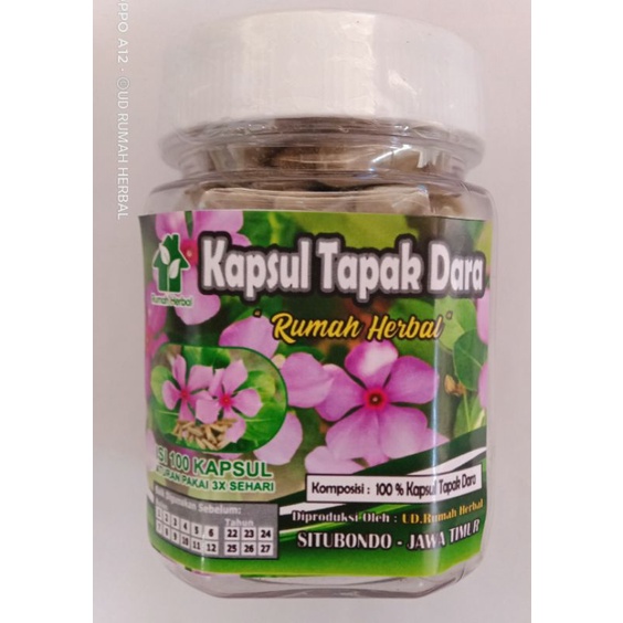 KAPSUL TAPAK DARA ISI 100 KAPSUL
