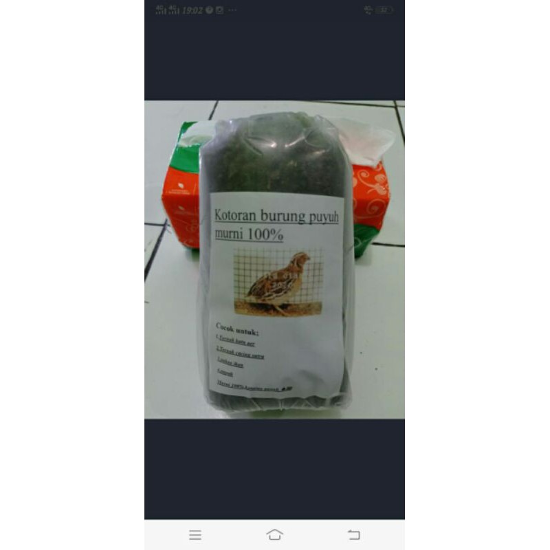 kotoran burung puyuh (kohe)
