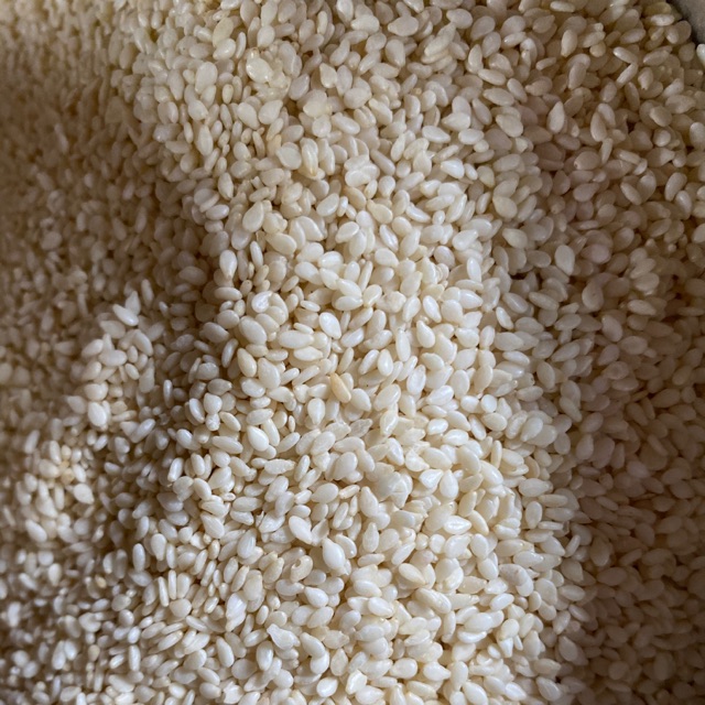 White sesame seed / biji wijen putih 1kg