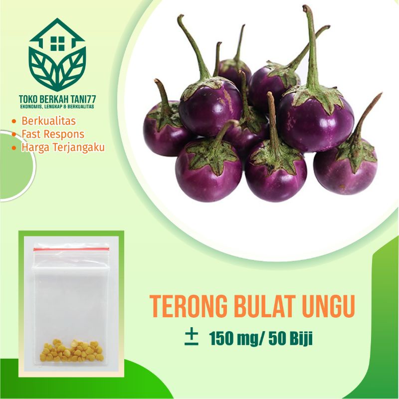 BENIH SAYURAN UNGGUL TERLENGKAP TERJANGKAU BIBIT KUBIS TOMAT SAWI TERONG CABE BUNCIS BAYAM KANGKUNG-Terong bulat ungu
