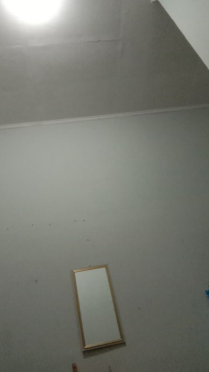 807 Cat Tembok Kiloan Super Warna Kacanari(kuning Terang)