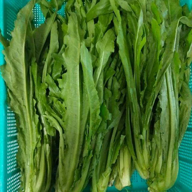 

Sayur Siomak 500gr (Jabodetabek Sameday)