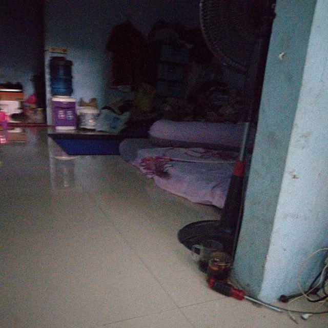 [gajah] Guling Kapuk Asli Cap Gajah Padat Tebal