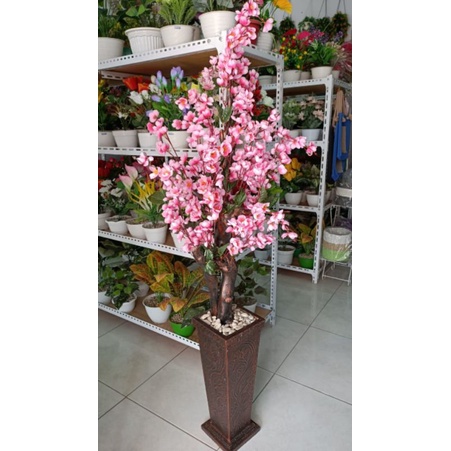 BUNGA SAKURA/POHON SAKURA+POT KAYU