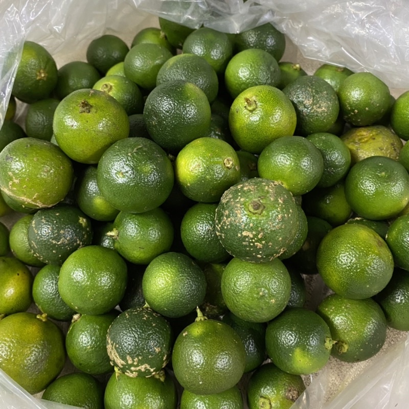 

(1kg) Son Kit/ Sonkit/ Jeruk Kecil/ Jeruk Nipis