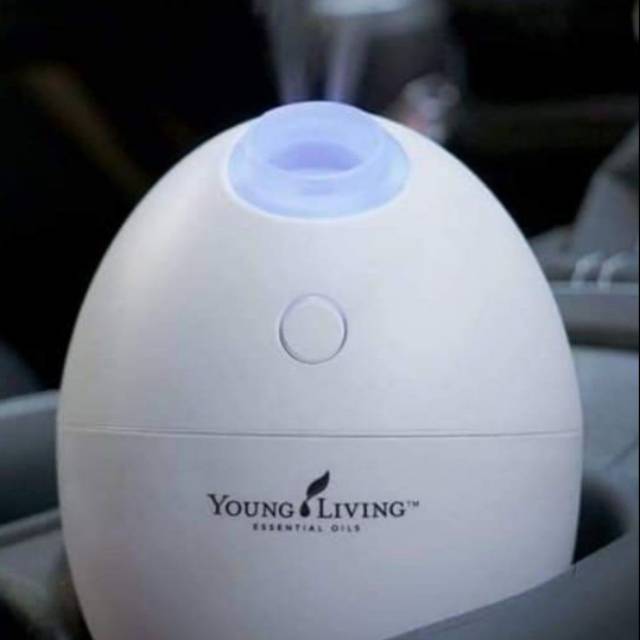 Orb diffuser YL