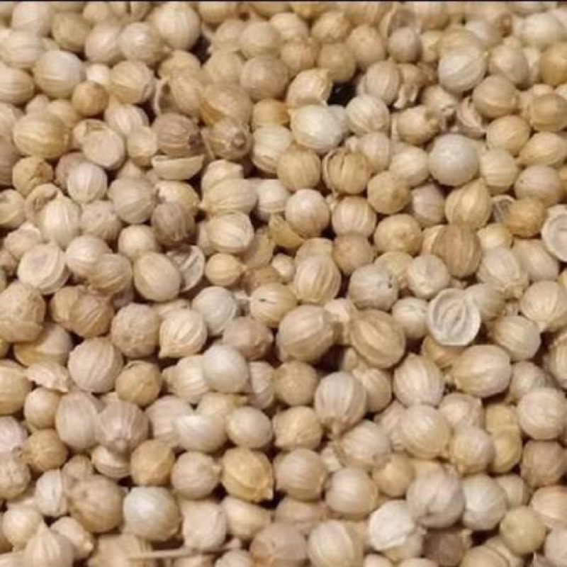 

Ketumbar Organik Murni Import 100Gram