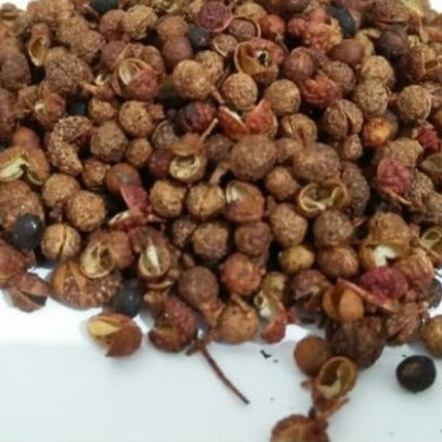 

Sichuan Peppecorn / Andaliman / Sichuan Peppern 250 Gram