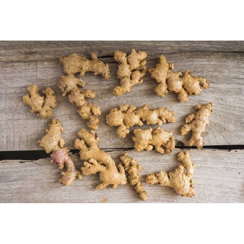 

Jahe Emprit Organik 100g