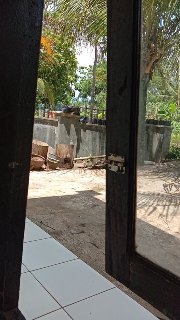 Polybag Ukuran 35 X 35 Murah Awet