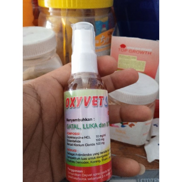 obat jamur kucing anjing kelinci ampuh