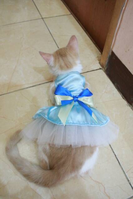 Dress frozen V.1 untuk kucing &amp; anjing /Jual Baju Kucing Terlengkap &amp; Berkualitas size S-XL