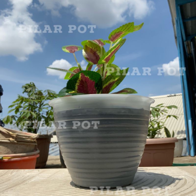 pot bunga tanaman hanny bening transparan 22cm model tawon - jmp 025