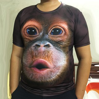 910+ Gambar Hewan Monyet Lucu HD Terbaru