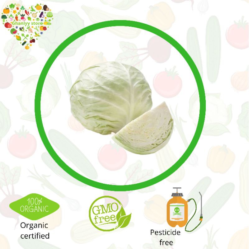 

sayur organik - kol putih organik