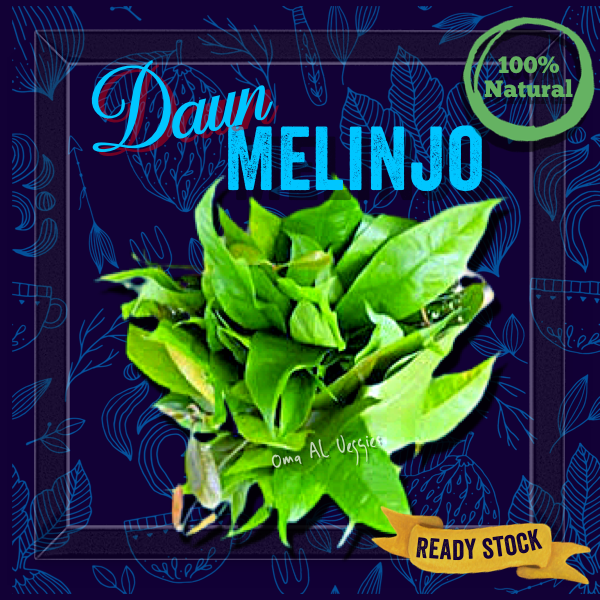 

DAUN MELINJO / FRESH GNEMON LEAVES Per Pack 150 Gr