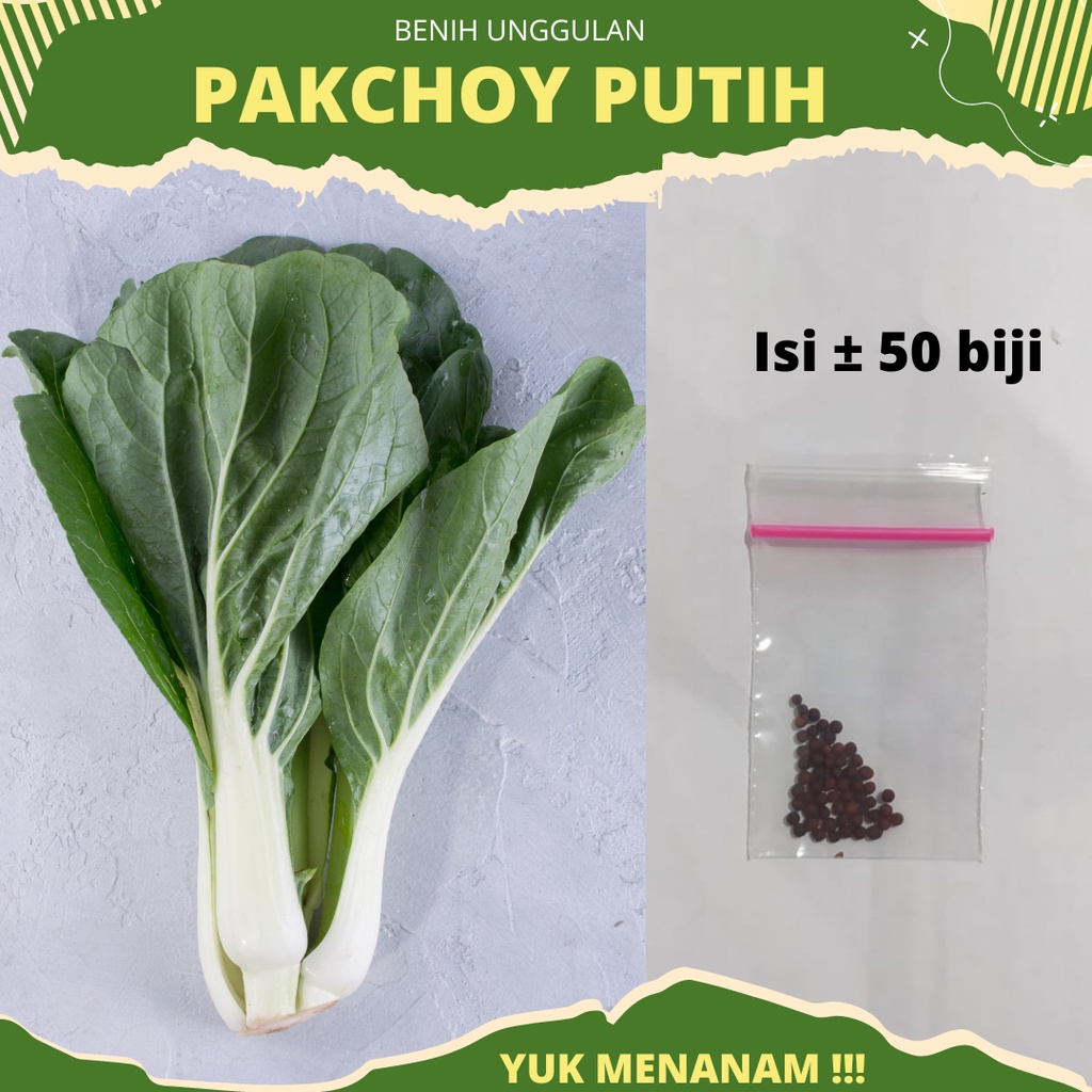 50 Biji - Benih Sawi Daging Pakchoy Putih White Bokcoy F1