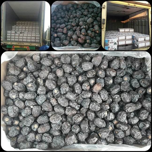 

Kurma Ajwa KEMASAN 5KG//Kurma nabi premium// (free bubble )exp 2026