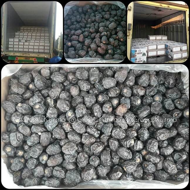 Kurma Ajwa KEMASAN 5KG//Kurma nabi premium//  (free bubble )exp 2024