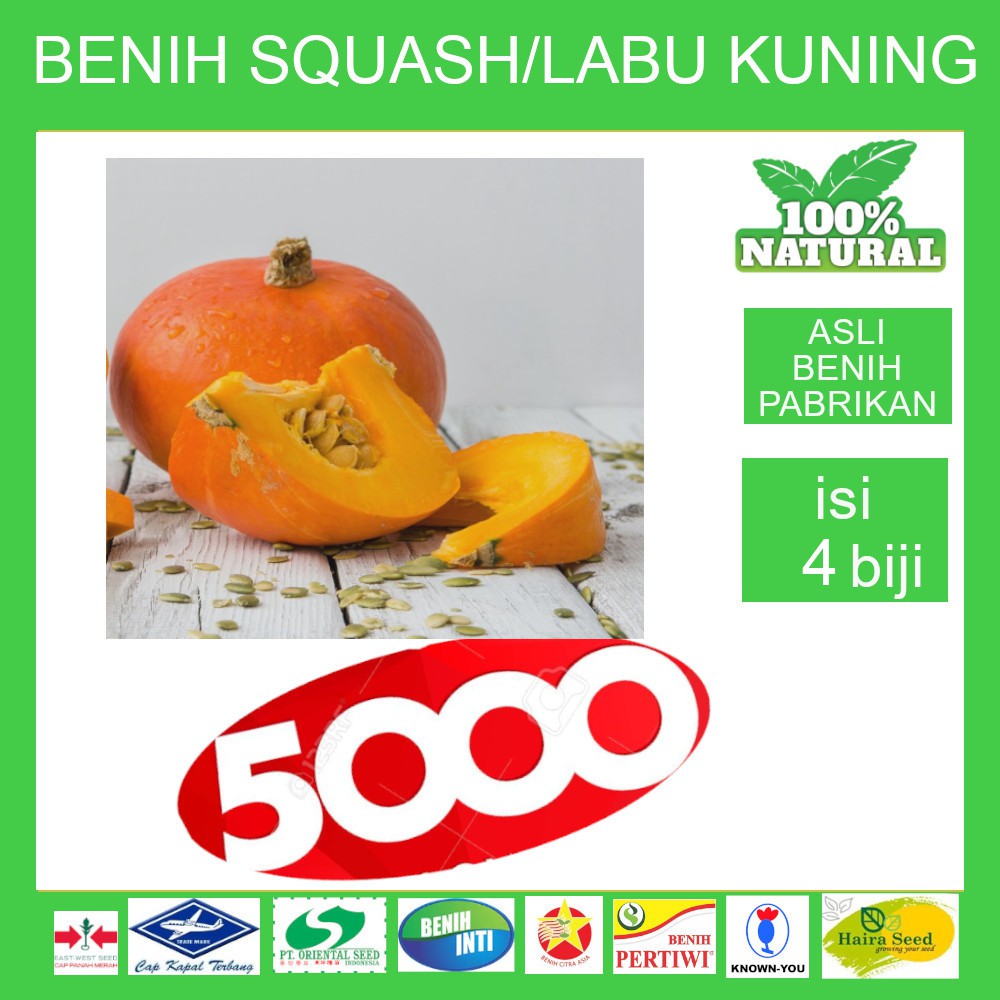 Jual Benih Biji Seed Unggul Labu Kuning Squash Seribuan Shopee Indonesia