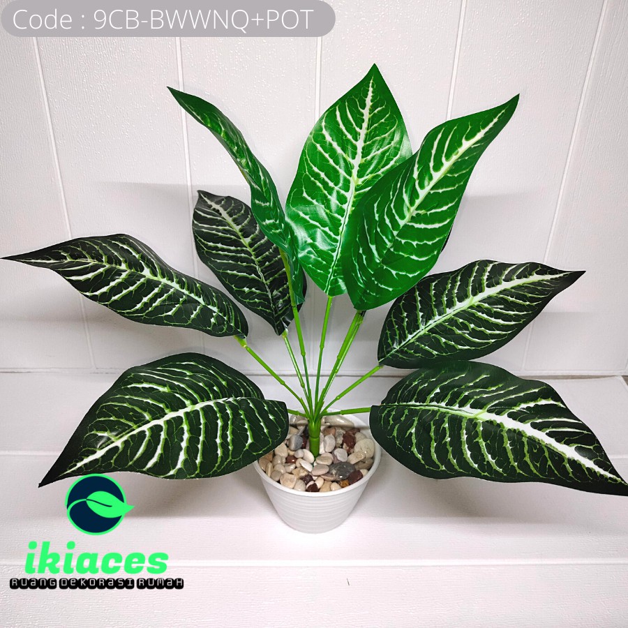 BUNGA PLASTIK BUNGA KELADI POT TANAMAN ARTIFISIAL ARTIFICIAL DAUN KELADI HOMEDECOR BUNGA HIAS MURAH