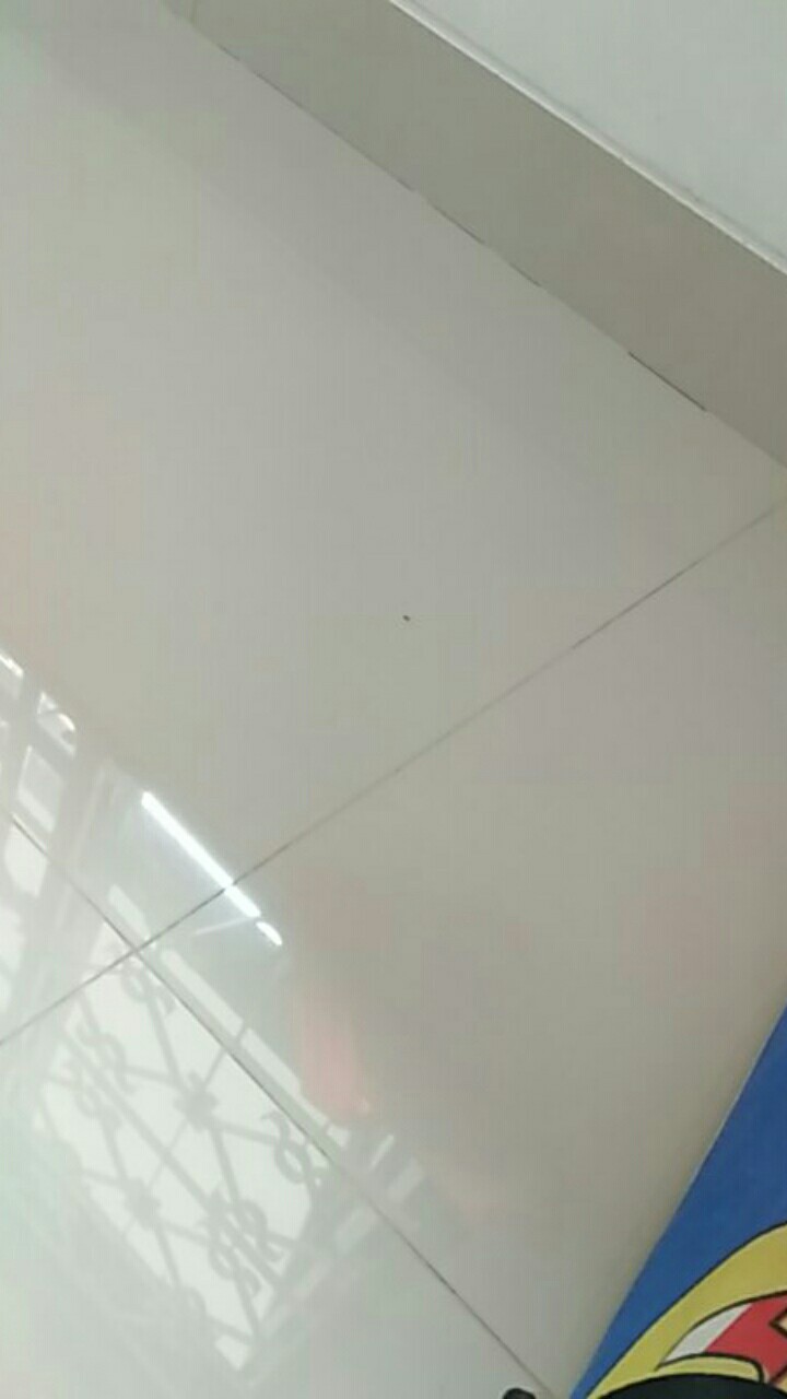 Scale Kitchen Timbangan Dapur Digital Sf 400 Max 10 Kg Bahan Kue Camry  Timbangan Dapur Digital